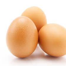 Egg